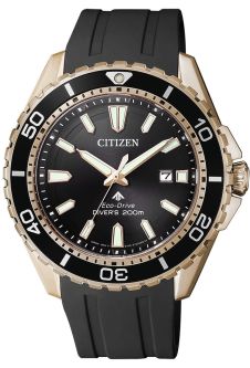 Часы CITIZEN BN0193-17E